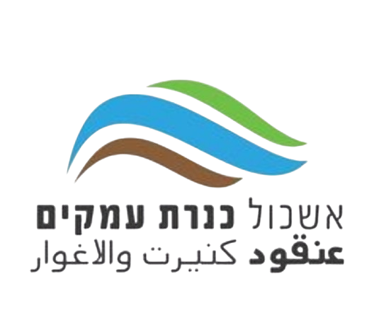 אשכול כנרת עמקים